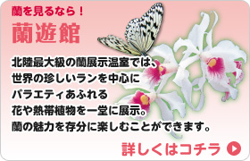 蘭遊館
